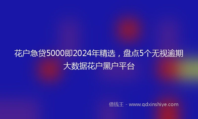 花户急贷5000即2024年精选，盘点5个无视逾期大数据花户黑户平台