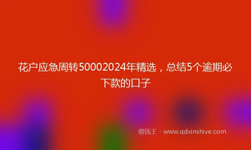 花户应急周转50002024年精选，总结5个逾期必下款的口子