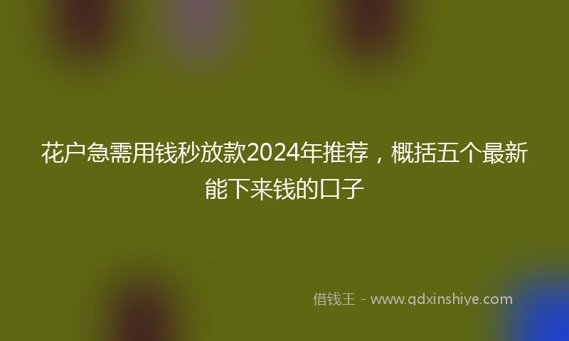 花户急需用钱秒放款2024年推荐，概括五个最新能下来钱的口子