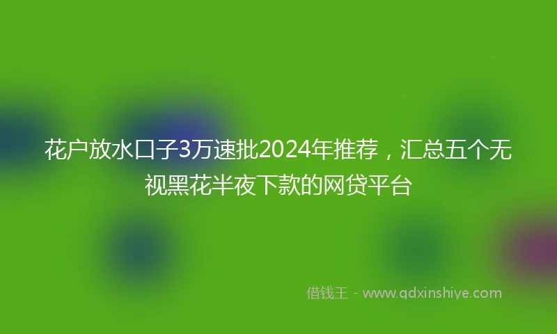 花户放水口子3万速批2024年推荐，汇总五个无视黑花半夜下款的网贷平台