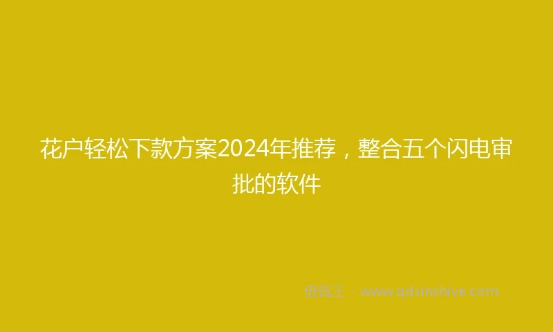 花户轻松下款方案2024年推荐，整合五个闪电审批的软件