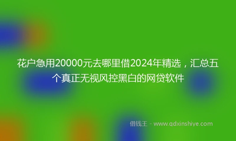 花户急用20000元去哪里借2024年精选，汇总五个真正无视风控黑白的网贷软件