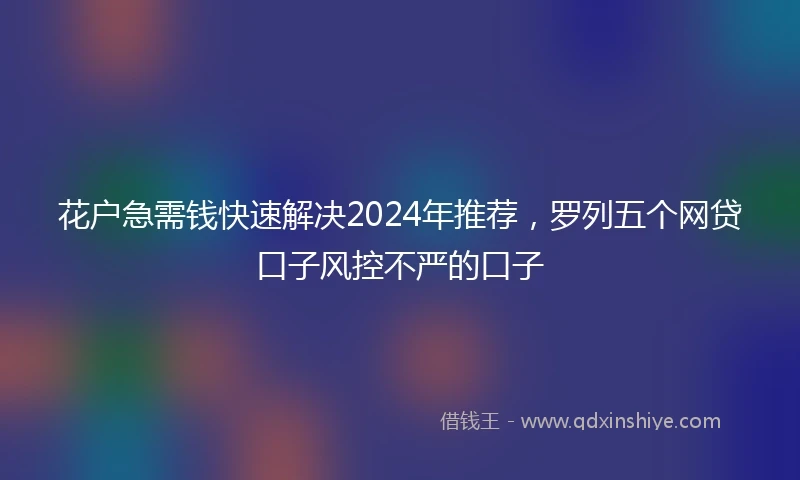 花户急需钱快速解决2024年推荐，罗列五个网贷口子风控不严的口子