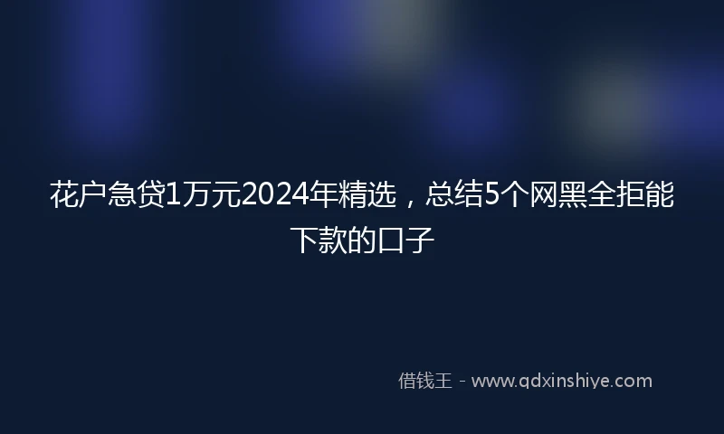 花户急贷1万元2024年精选，总结5个网黑全拒能下款的口子