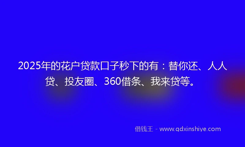 2025年的花户贷款口子秒下的有：替你还、人人贷、投友圈、360借条、我来贷等。