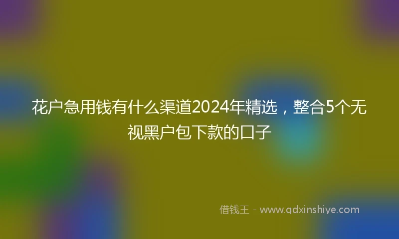 花户急用钱有什么渠道2024年精选,整合5个无视黑户包下款的口子