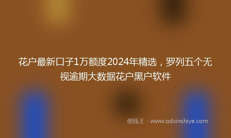 花户最新口子1万额度2024年精选，罗列五个无视逾期大数据花户黑户软件