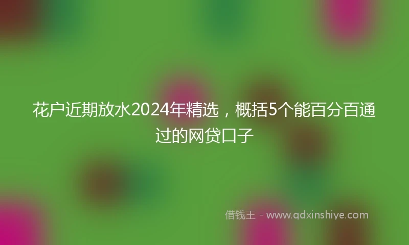 花户近期放水2024年精选，概括5个能百分百通过的网贷口子