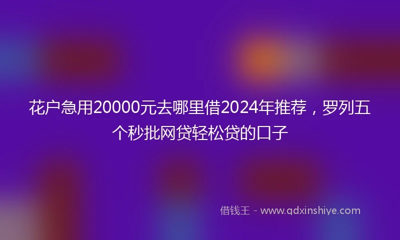 花户急用20000元去哪里借2024年推荐，罗列五个秒批网贷轻松贷的口子