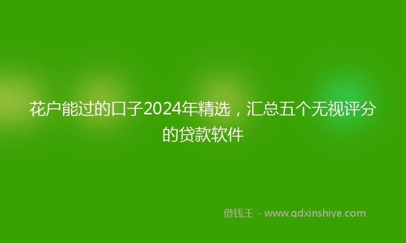 花户能过的口子2024年精选，汇总五个无视评分的贷款软件