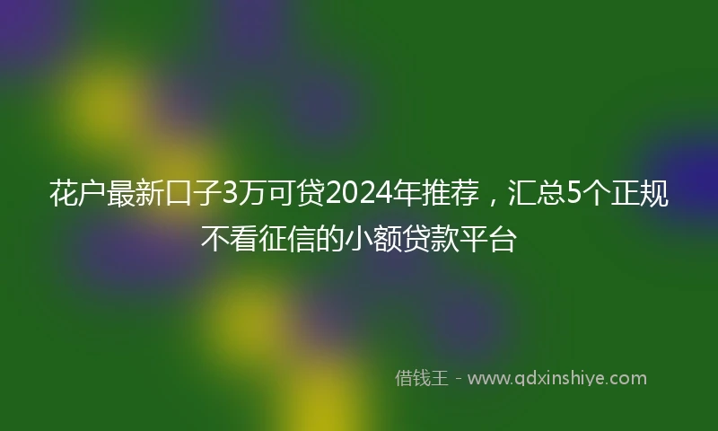 花户最新口子3万可贷2024年推荐，汇总5个正规不看征信的小额贷款平台