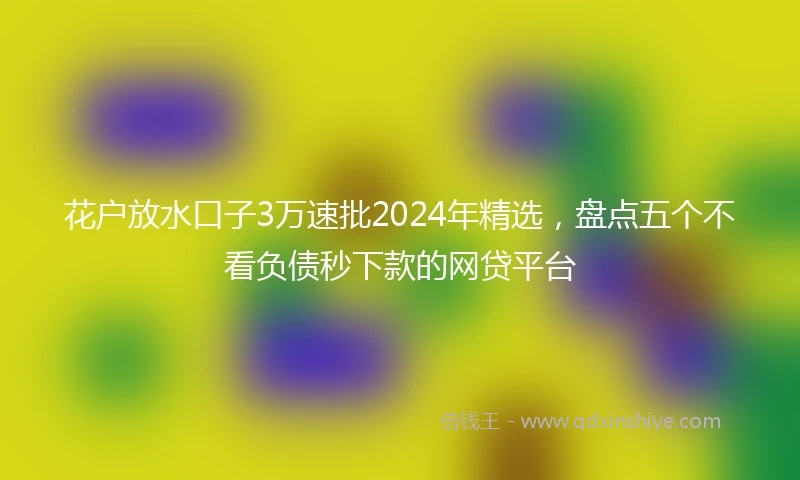 花户放水口子3万速批2024年精选，盘点五个不看负债秒下款的网贷平台