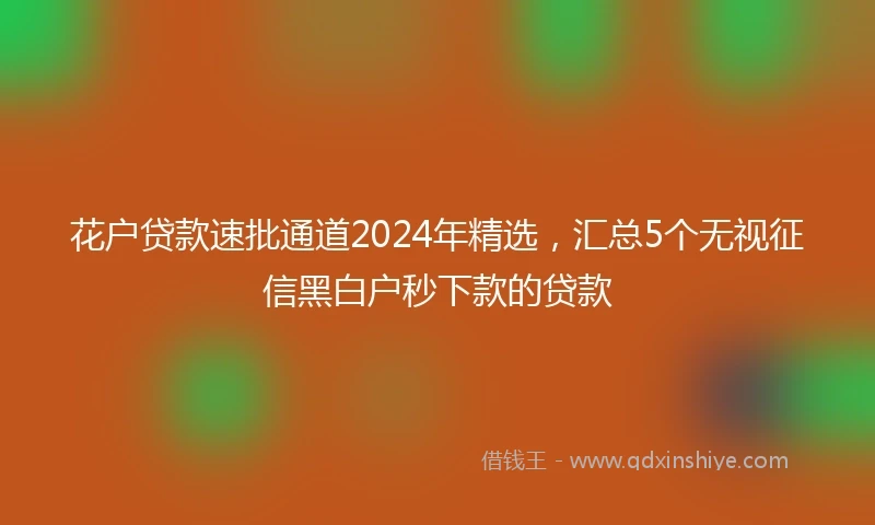 花户贷款速批通道2024年精选，汇总5个无视征信黑白户秒下款的贷款