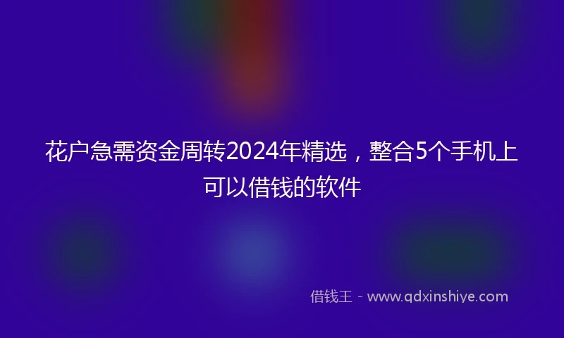 花户急需资金周转2024年精选，整合5个手机上可以借钱的软件