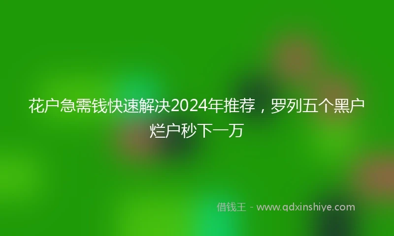 花户急需钱快速解决2024年推荐，罗列五个黑户烂户秒下一万