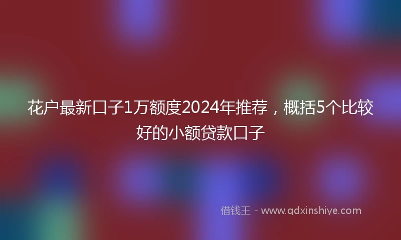 花户最新口子1万额度2024年推荐，概括5个比较好的小额贷款口子