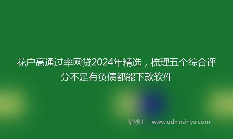 花户高通过率网贷2024年精选，梳理五个综合评分不足有负债都能下款软件
