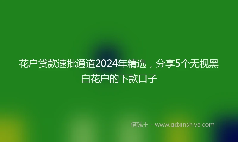 花户贷款速批通道2024年精选，分享5个无视黑白花户的下款口子