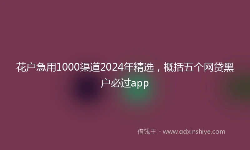 花户急用1000渠道2024年精选，概括五个网贷黑户必过app