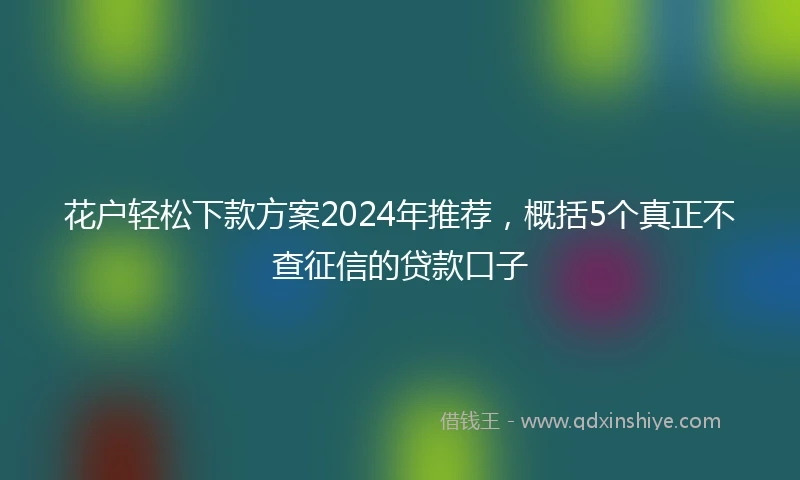 花户轻松下款方案2024年推荐，概括5个真正不查征信的贷款口子