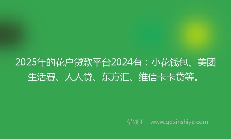 2025年的花户贷款平台2024有：小花钱包、美团生活费、人人贷、东方汇、维信卡卡贷等。