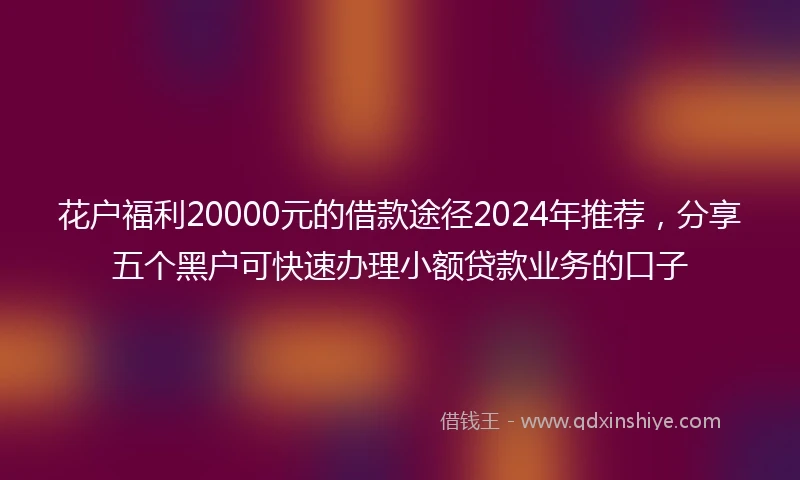 花户福利20000元的借款途径2024年推荐，分享五个黑户可快速办理小额贷款业务的口子