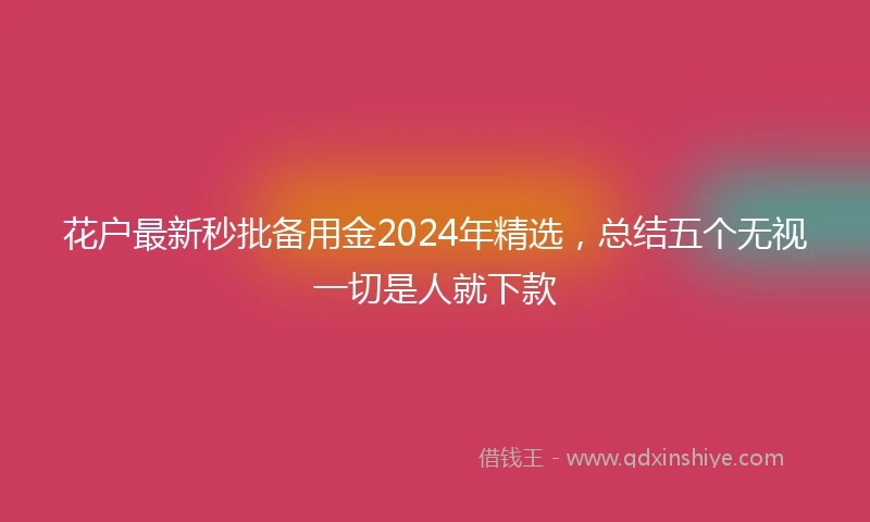 花户最新秒批备用金2024年精选，总结五个无视一切是人就下款