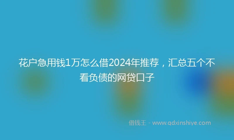 花户急用钱1万怎么借2024年推荐,汇总五个不看负债的网贷口子