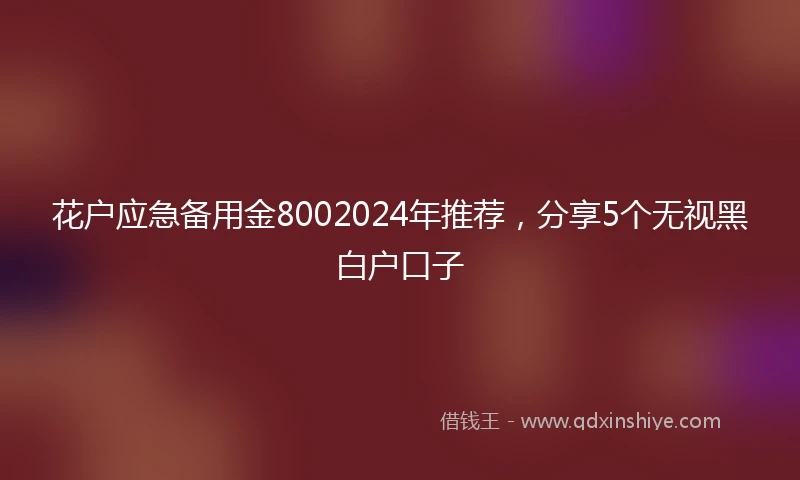 花户应急备用金8002024年推荐，分享5个无视黑白户口子
