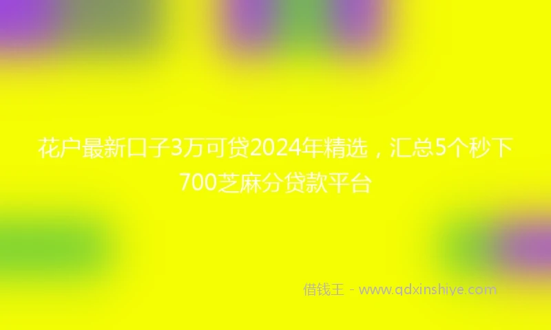 花户最新口子3万可贷2024年精选，汇总5个秒下700芝麻分贷款平台
