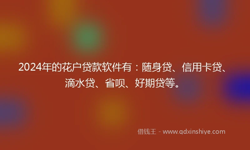 2024年的花户贷款软件有：随身贷、信用卡贷、滴水贷、省呗、好期贷等。