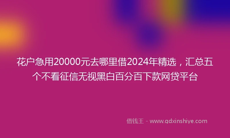花户急用20000元去哪里借2024年精选，汇总五个不看征信无视黑白百分百下款网贷平台