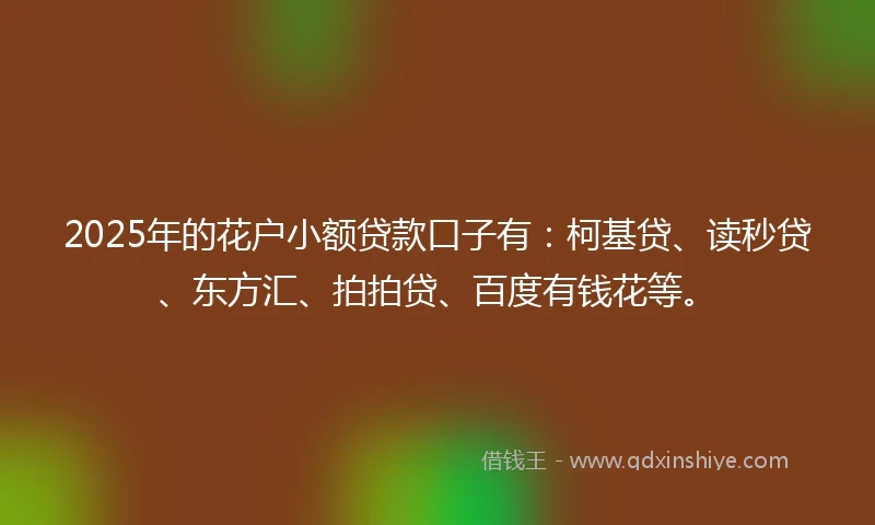 2025年的花户小额贷款口子有：柯基贷、读秒贷、东方汇、拍拍贷、百度有钱花等。