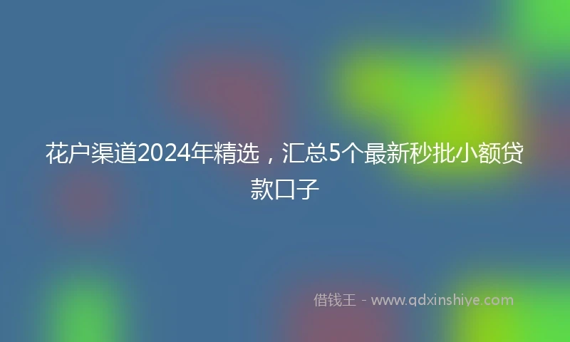 花户渠道2024年精选，汇总5个最新秒批小额贷款口子