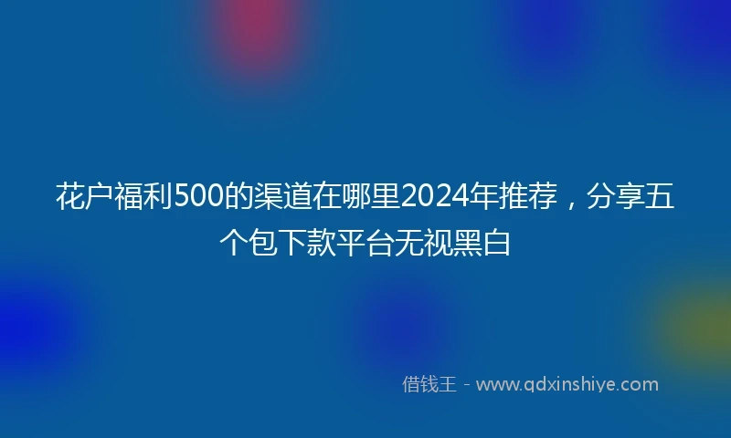 花户福利500的渠道在哪里2024年推荐，分享五个包下款平台无视黑白