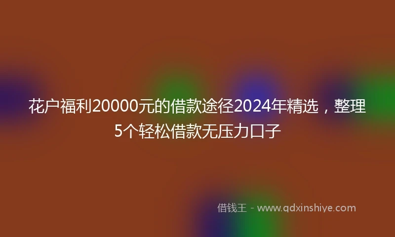 花户福利20000元的借款途径2024年精选，整理5个轻松借款无压力口子