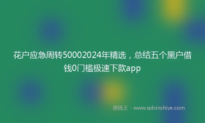 花户应急周转50002024年精选，总结五个黑户借钱0门槛极速下款app