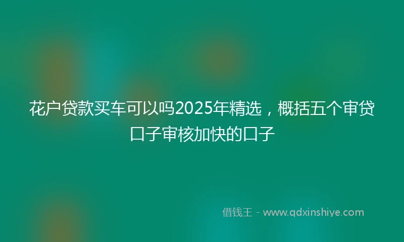 花户贷款买车可以吗2025年精选，概括五个审贷口子审核加快的口子