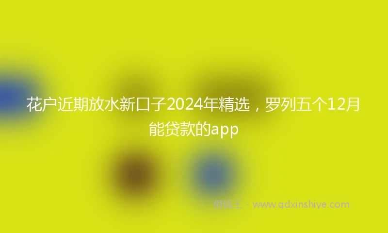 花户近期放水新口子2024年精选，罗列五个12月能贷款的app