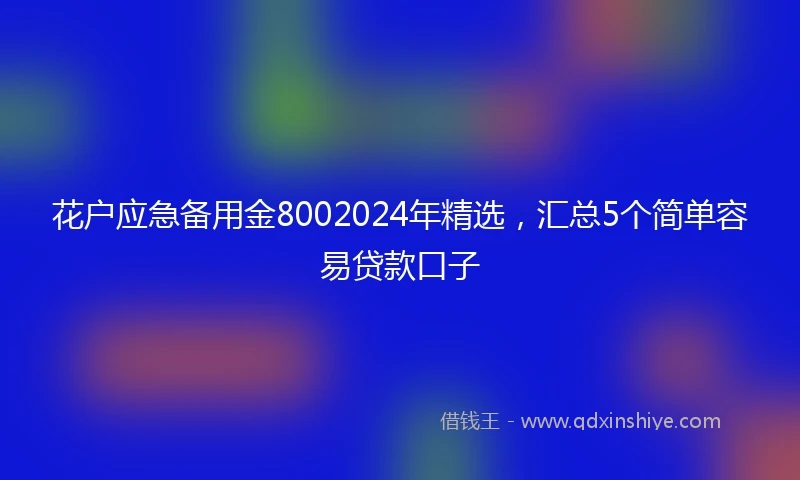 花户应急备用金8002024年精选，汇总5个简单容易贷款口子