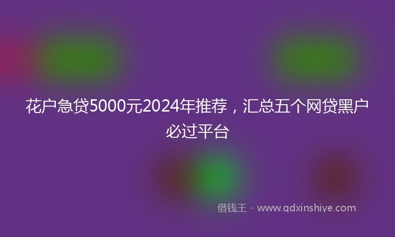 花户急贷5000元2024年推荐，汇总五个网贷黑户必过平台