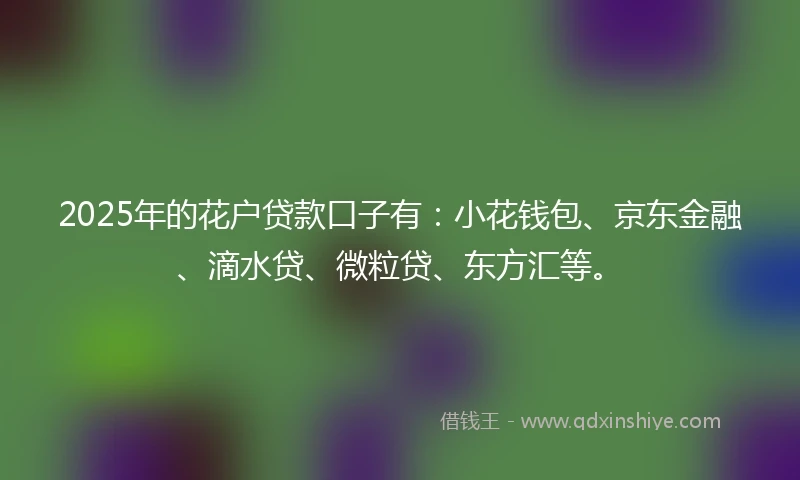 2025年的花户贷款口子有：小花钱包、京东金融、滴水贷、微粒贷、东方汇等。