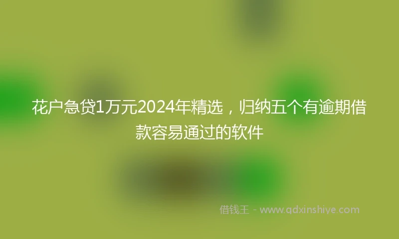 花户急贷1万元2024年精选，归纳五个有逾期借款容易通过的软件
