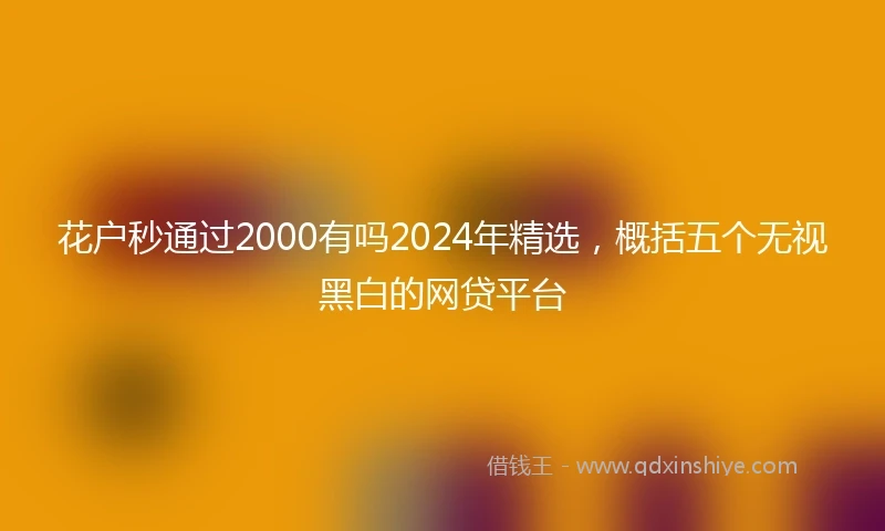 花户秒通过2000有吗2024年精选，概括五个无视黑白的网贷平台