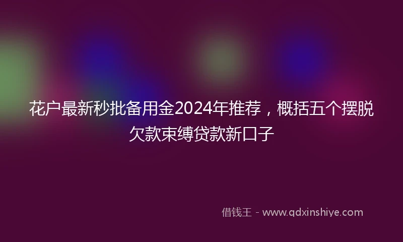 花户最新秒批备用金2024年推荐，概括五个摆脱欠款束缚贷款新口子