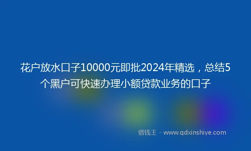 花户放水口子10000元即批2024年精选，总结5个黑户可快速办理小额贷款业务的口子