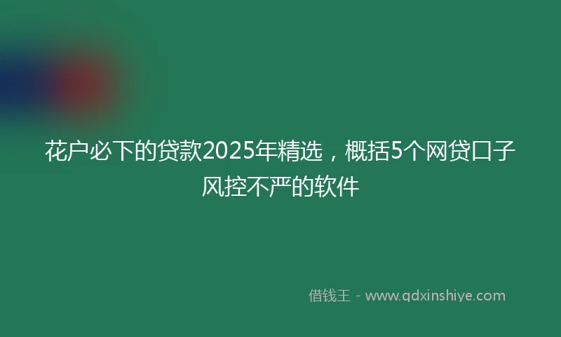 花户必下的贷款2025年精选，概括5个网贷口子风控不严的软件