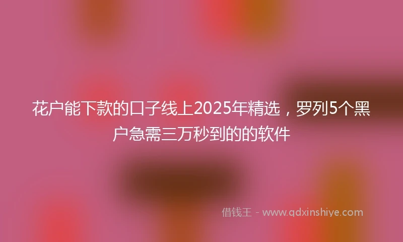 花户能下款的口子线上2025年精选，罗列5个黑户急需三万秒到的的软件