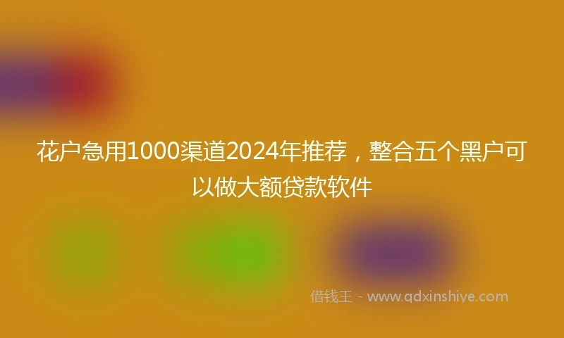 花户急用1000渠道2024年推荐，整合五个黑户可以做大额贷款软件