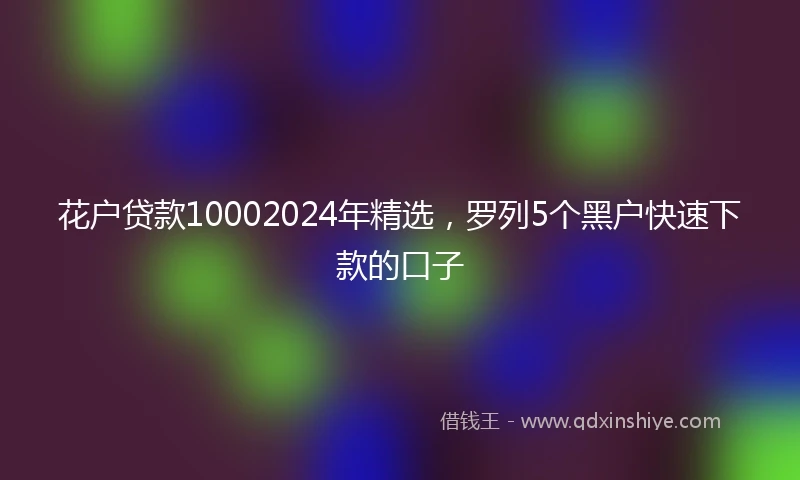 花户贷款10002024年精选，罗列5个黑户快速下款的口子